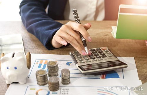 中职会计专业为何备受青睐？解析审计与税务服务的吸引力