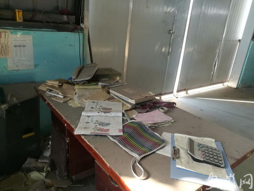 红火童车厂的陨落 财务纠纷漩涡中的警示