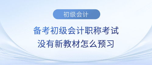 备考2024年初级会计职称考试 无新教材下高效预习《审计基础》与《税务服务实务》指南