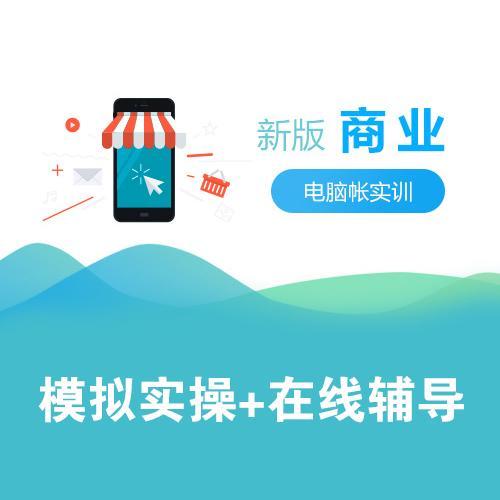 学会计必学实操 掌握审计与税务服务的核心技能